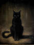 398260-4-black-cat.jpg